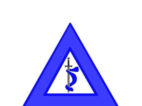 Bertha Grand Chapter Ohio